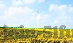 91麻豆免费在线视频-代代工匠精神下的网络视频新现象，91麻豆的免费在线视频探索