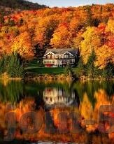 东京热麻豆九色91精品-探寻特殊视觉体验 - 东京热麻豆九色91精品的魅力