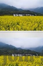 多乙糖心vlog-探觅多乙糖心情境，一则源自Vlog的灵感之旅