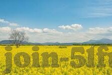 国产精品51麻豆cm传媒视频-国产精品与51麻豆cm传媒的深度观察