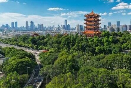 果冻传媒av在线-探索网络内容边界，理性审视果冻传媒av在线现象