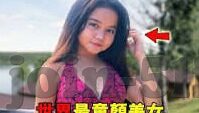 麻豆传媒夏滢-探索网络迷雾，揭开麻豆传媒夏滢事件的多重维度
