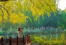 麻豆污app下载-艺术创作，从绘画、摄影到音乐创作，利用现代科技平台展现个人才艺，参与各类线上与线下艺术展览
