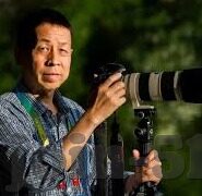 日韩av免费的-探索成人娱乐的边界，日韩AV免费资源的现状与思考